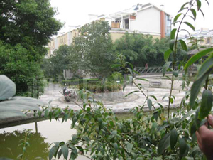 庭院景观妄想设计厂家