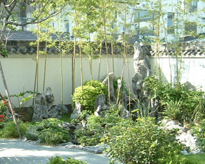 庭院景观